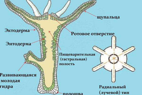 Сайт кракен не работает почему